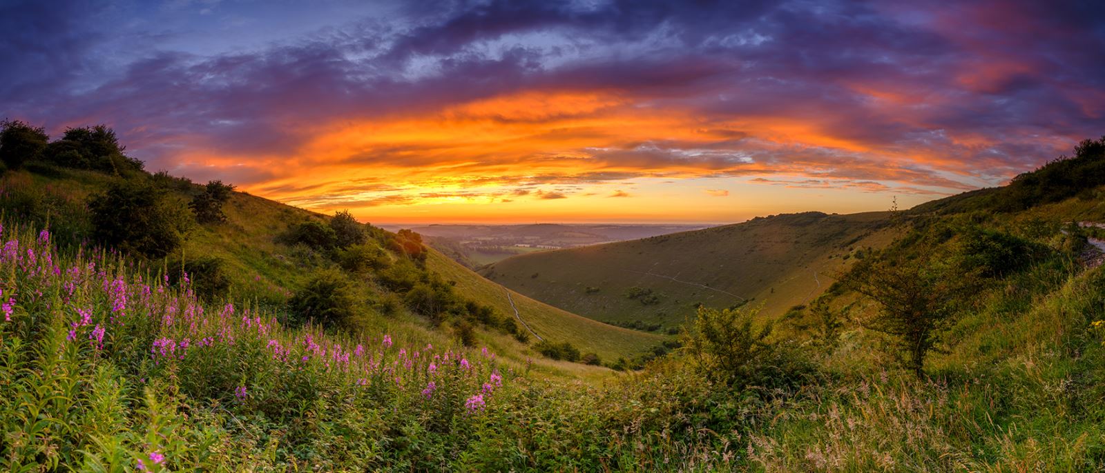 Butser Hill, Hampshire